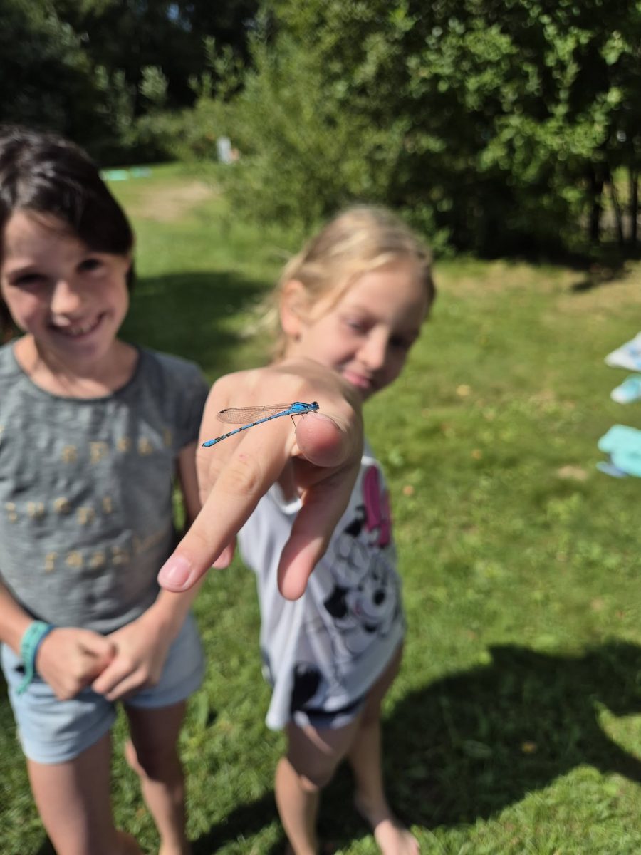 534377200 1352176796918121 2420536111782464863 n