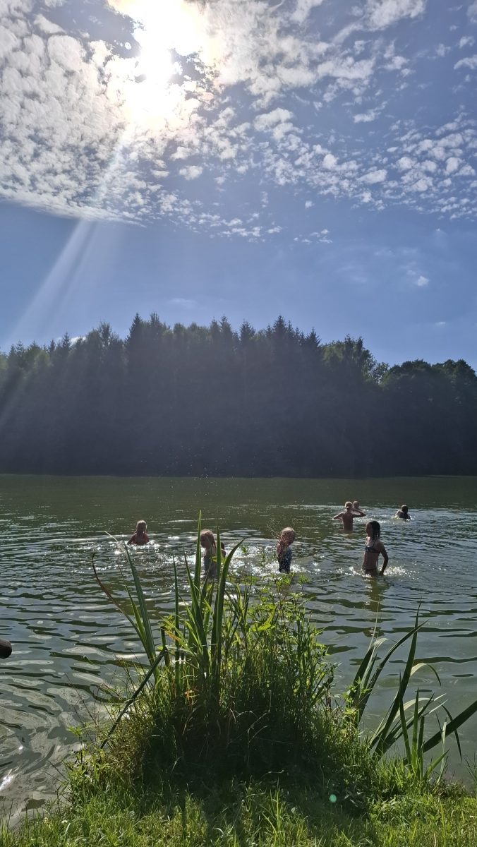 535676243 1352183320250802 5600759697810950132 n